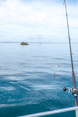 Fishing rod with bait and sinker with navigation buoy in background in Far North District, Northland, New Zealand, NZ