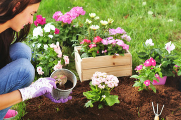 Portrait of a woman (girl) taking care of her garden, planting flowers. Concept: bio, farm, nature