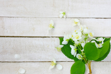 bouquet of delicate jasmine flower on white wooden table