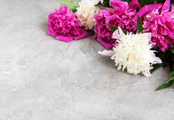 beautiful pink and white peony flowers