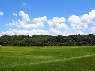 夏の大芝生園