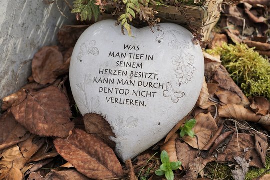 KondolenzspruchBilder StockFotos & Videos. Adobe Stock