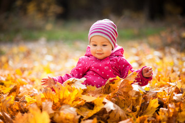 Little kid is playing and sitting in fallen leaves in autumn park. Baby smiles. Girl is dressed in warm hat, jacket.
