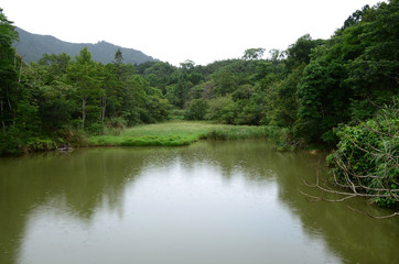 Fototapeta premium Green lake surrounded with trees