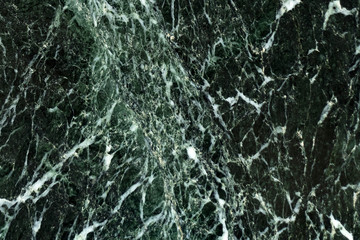 Fototapeta na wymiar The dark green marble. Texture