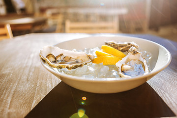 Lemon and oysters. Three thin pieces of lemon and three fresh delicious oysters lying on ice in plain white plate