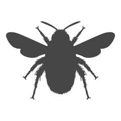 Bumble bee icon logo