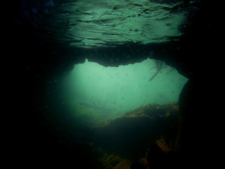 Underwater Cave, Los Tuneles, Isla Isabela, Galapagos, Equador