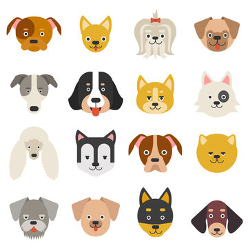 Heads of home pets. Funny dogs in flat style