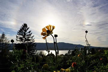 Landschaft in Zollikon im Kanton Zürich in der schweiz in der nähe von Epilepsie Krankenhaus im Frühling 