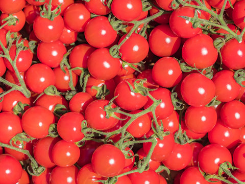 193 最適な 枝付きトマト 画像 ストック写真 ベクター Adobe Stock