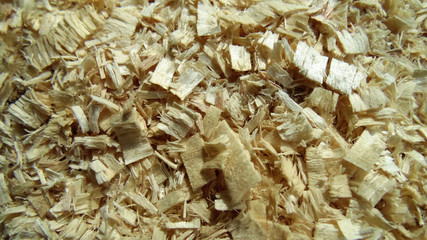 Tree sawdust texture. Wood background