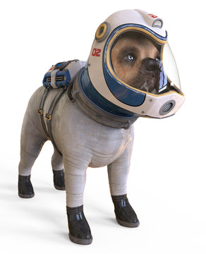 Dog In An Astronaut's Space Suit. 3D Illustration Isolated On White.