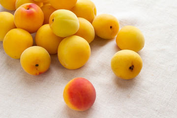 完熟した梅の実