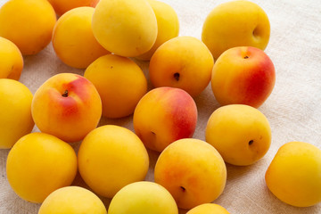 完熟した梅の実