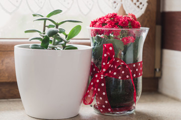 Red flowers in the vase next to window