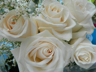 bouquet, rose, wedding, roses, flower, white, flowers, love,