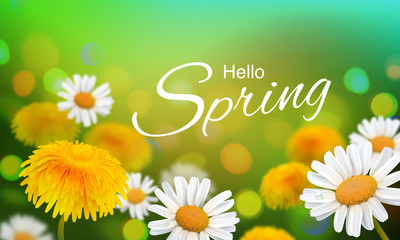 Fototapeta premium Stock vector illustration Hello, Hi Spring. Realistic dandelion, taraxacum, blurred defocused background. Macro chamomile bokeh. Templates for placards, banners, flyers, presentations, reports EPS10