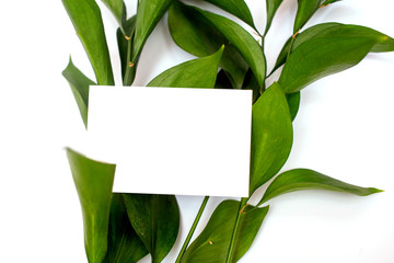 business card on a branch on a white background