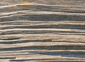 Weathered wood grain texture close up