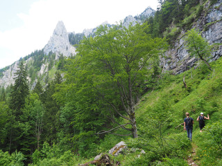 Bergtour im Salzkammergut (Attersee)