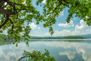 Fishpond named dehtář in Southern Bohemia with a forested isle under a blue sky.