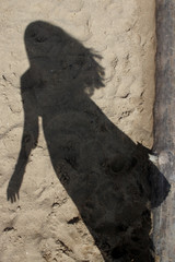 shadow