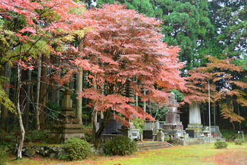 滋賀県大津市の比叡山延暦寺