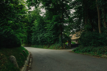 Fototapeta premium Empty asphalt country road passing through green forests and villages. Summer countryside landscape in the region of Normandy, France. Recreation, nature, holidays, travel and road network concept.