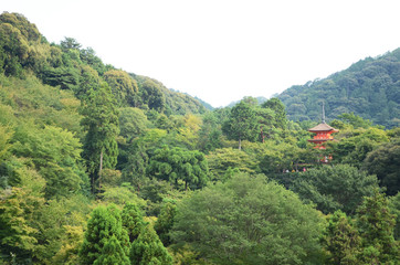 Fototapeta premium A red Kiyomizu-dera Temple surrounded by greenery at Kyoto.