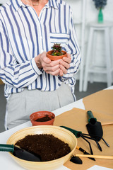 cropped shot of senior woman holding beautiful small potted plant at home