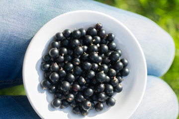 
Black currant in a plate. view from above