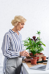 smiling senior woman cultivating potted plants and using laptop at home