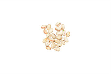 Group of Pistachios Isolated on White Background