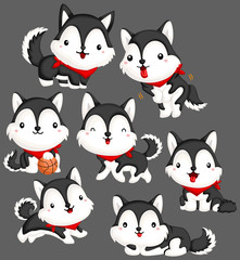 Siberian Husky Vector Set