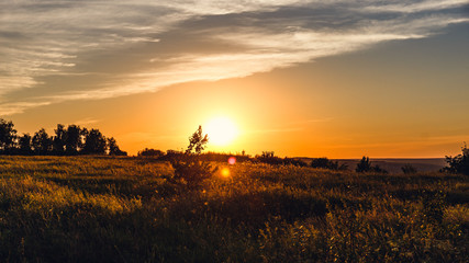 Beautiful summer sunset with waving wild grass in sunlight, rural meadow or field in countryside