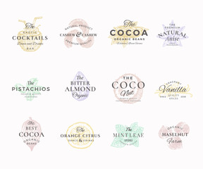 Premium Qualituy Nuts, Fruits and Spices Elegant Labels Set. Abstract Vector Signs, Symbols or Logo Templates. Hand Drawn Food Sketches with Retro Typography. Vintage Luxury Emblems.