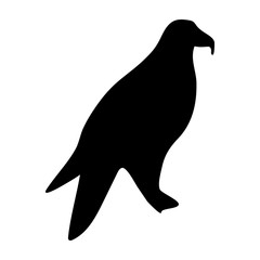 eagle black white illustration