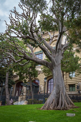 Monte Carlo Casino