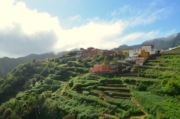 Fototapeta premium 2014-04 Teneriffa