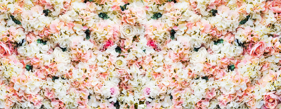 rose flowers are white and pink. background of garden flowers © OlegDoroshin