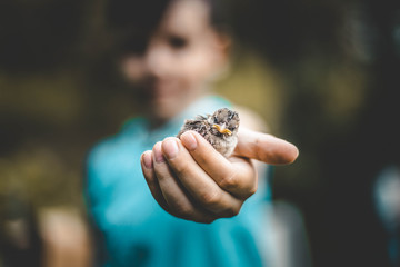 The boy is holding a sparrow