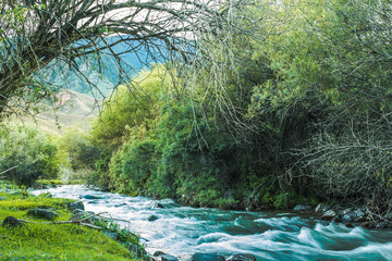 mountain stream