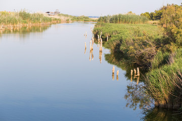 Paisaje de río cerca de la playa