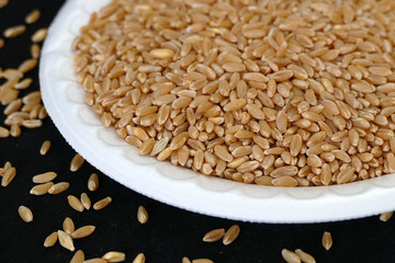 quality wheat to make pasta,quality wheat to make flour,
