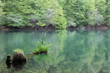 Bolu, Yedigöller National Park, Turkey