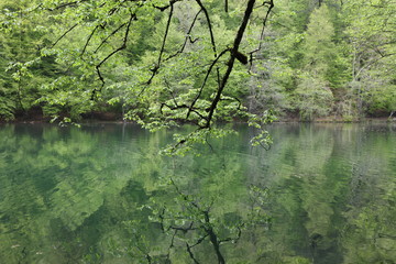Fototapeta premium Bolu, Yedigöller National Park, Turkey