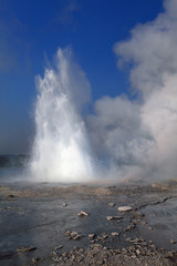 Old Faithful Area and Geysers, Yellowstone NP 