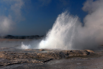 Old Faithful Area and Geysers, Yellowstone NP 