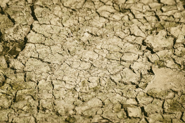 Cracked Soil As Background Or Texture